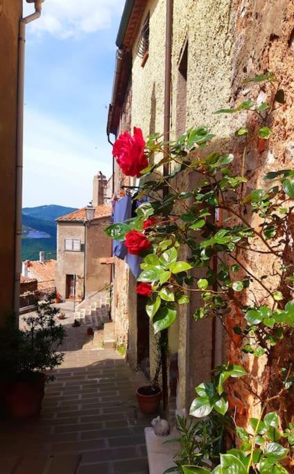 Villa Casa Il Girasole Boccheggiano Exterior foto