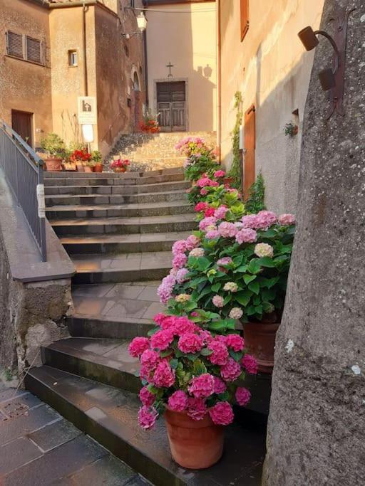 Villa Casa Il Girasole Boccheggiano Exterior foto